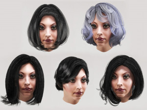 set woman hairstyle 5 types 3D Model