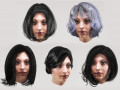 set woman hairstyle 5 types Modèle 3D