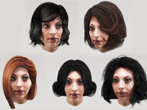 set woman hairstyle 5 types 3Dモデル
