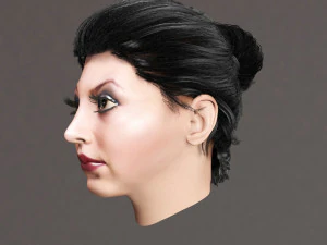 set woman hairstyle 10 types 3D Model