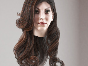 set woman hairstyle 5 types Modelo 3D