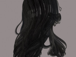 set woman hairstyle 5 types Modelo 3D