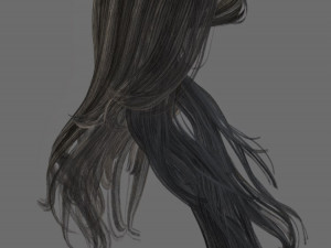 set woman hairstyle 5 types Modelo 3D