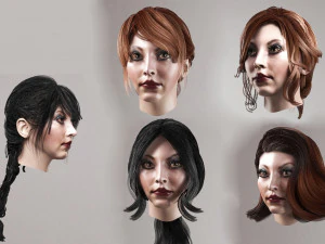 impostare l'acconciatura da donna 5 tipi Modello 3D