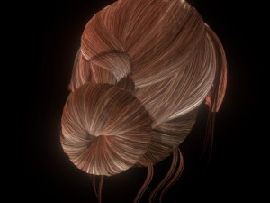 set woman hairstyle 5 types 3D Model