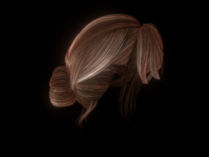 set woman hairstyle 5 types 3D Model