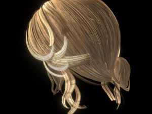 set woman hairstyle 5 types 3D Model