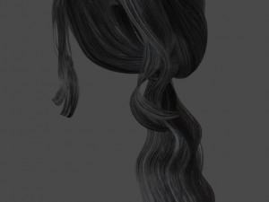 set woman hairstyle 5 types 3D Model