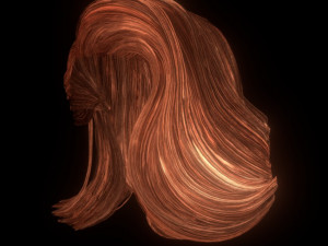set woman hairstyle 5 types 3D Model