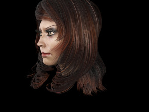 set woman hairstyle 5 types 3Dモデル