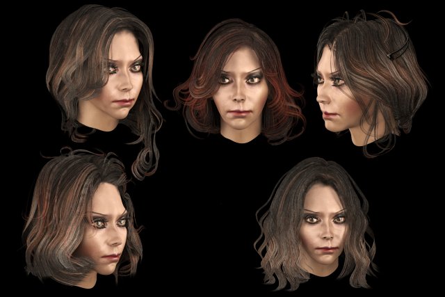 set woman hairstyle 5 types 3Dモデル .c4d .max .obj .3ds .fbx .stl .blend 