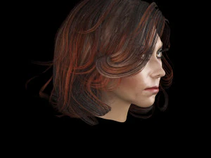 set woman hairstyle 5 types 3D Model