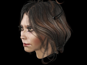 set woman hairstyle 5 types 3Dモデル