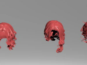 set woman hairstyle 5 types 3D Model