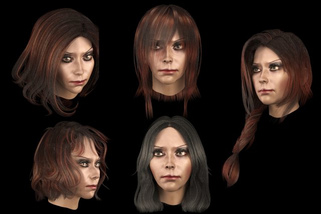 set woman hairstyle 5 types 3Dモデル .c4d .max .obj .3ds .fbx .stl .blend 