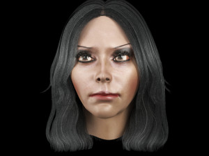 set woman hairstyle 5 types 3Dモデル