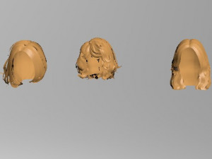 set woman hairstyle 5 types 3Dモデル