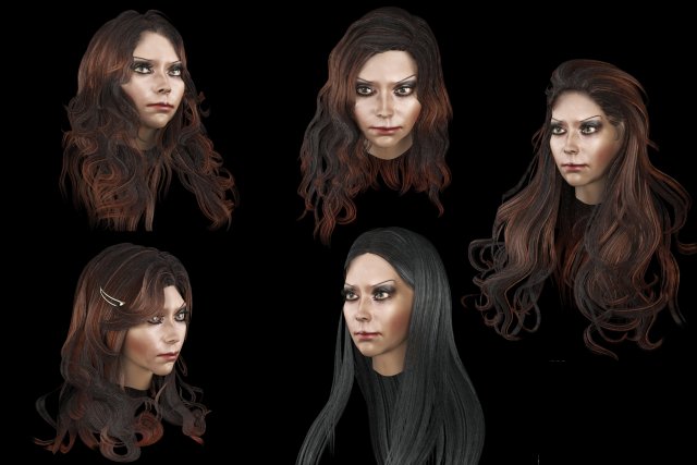 set woman hairstyle 5 types 3D 모델 .c4d .max .obj .3ds .fbx .stl .blend 
