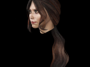 set woman hairstyle 5 types 3Dモデル