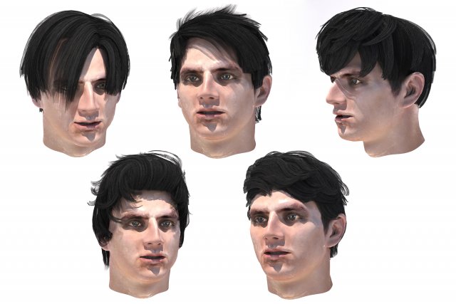 set male hairstyle 5 types Modelo 3D .c4d .max .obj .3ds .fbx .stl .blend 