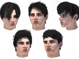 set male hairstyle 5 types 3D मॉडल