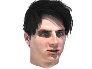 set male hairstyle 5 types Modelo 3D