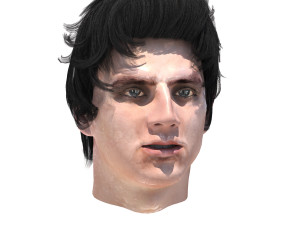 set male hairstyle 5 types Modelo 3D