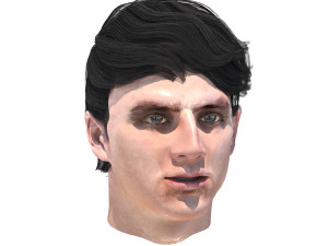 set male hairstyle 5 types Modelo 3D