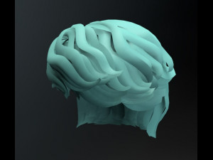 set male hairstyle 5 types Modelo 3D