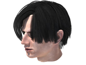 set male hairstyle 5 types 3D Model