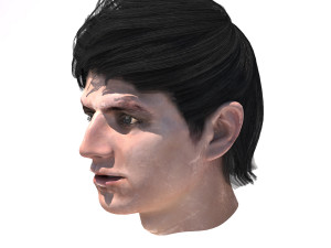 set male hairstyle 5 types 3D Model