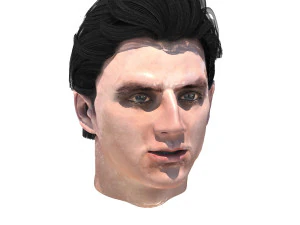 set male hairstyle 5 types 3D Model