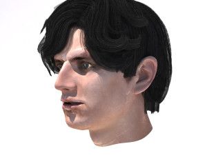 set male hairstyle 5 types 3D Model