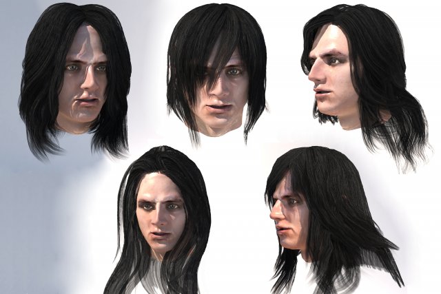 set male long hairstyle 5 types Modelo 3D .c4d .max .obj .3ds .fbx .stl .blend 