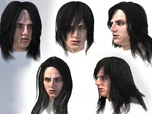 комплект мужской длинной прически 5 видов 3D Модель