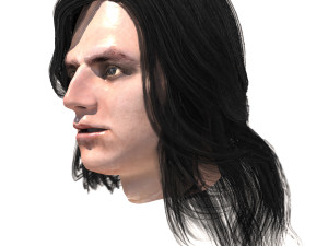 set male long hairstyle 5 types Modelo 3D
