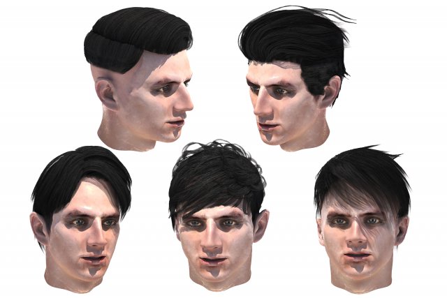 set male hairstyle 5 types 3D Model .c4d .max .obj .3ds .fbx .stl .blend 