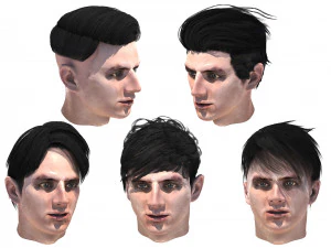 erkek sa&ccedil; modeli 5 &ccedil;eşit ayarla 3D Model