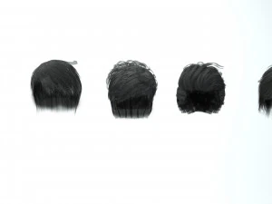 set male hairstyle 5 types 3D Model