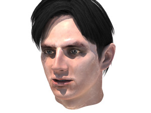 set male hairstyle 5 types 3D Model