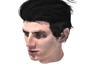 set male hairstyle 5 types 3D Model