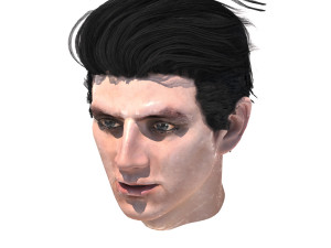 set male hairstyle 5 types 3D Model