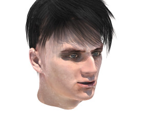 set male hairstyle 5 types 3D Model