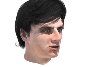 set male hairstyle 5 types 3D Модель
