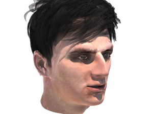 set male hairstyle 5 types 3D Модель