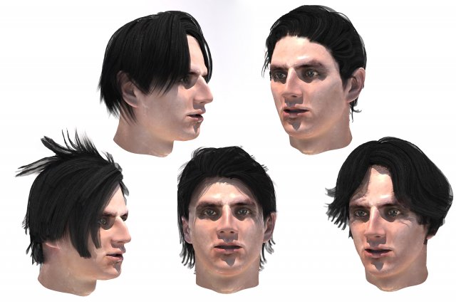 set male hairstyle 5 types 3D Модель .c4d .max .obj .3ds .fbx .stl .blend 