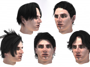 set male hairstyle 5 types 3Dモデル