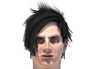 set male hairstyle 5 types 3D Model