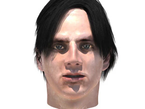 set male hairstyle 5 types 3D Model