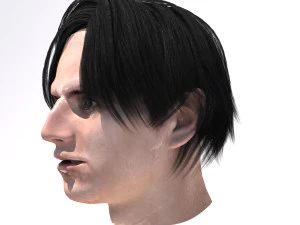 set male hairstyle 5 types 3D Model